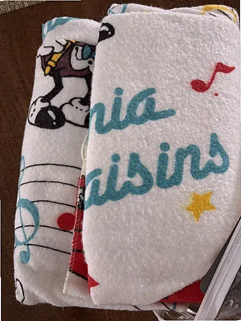 California Raisins Beach Throw Blanket 45"x72" Dreamstyles Vintage